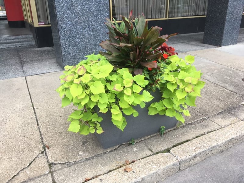 Downtown Louisville preview 2